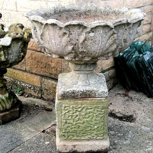 766 - Pedestal planter on square plinth - 25