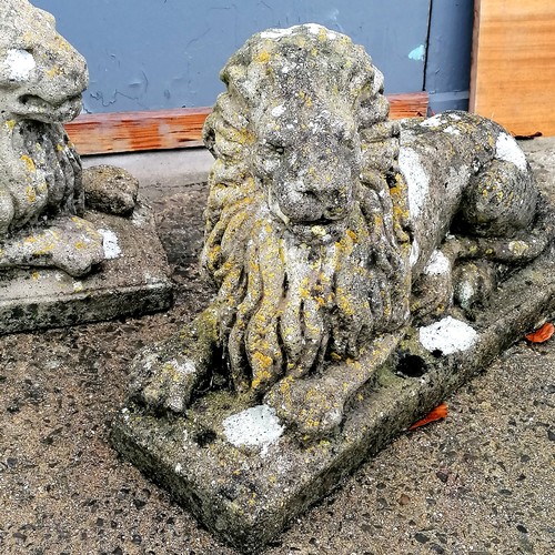 771 - Pair of concrete crouching lions with good patination - 23