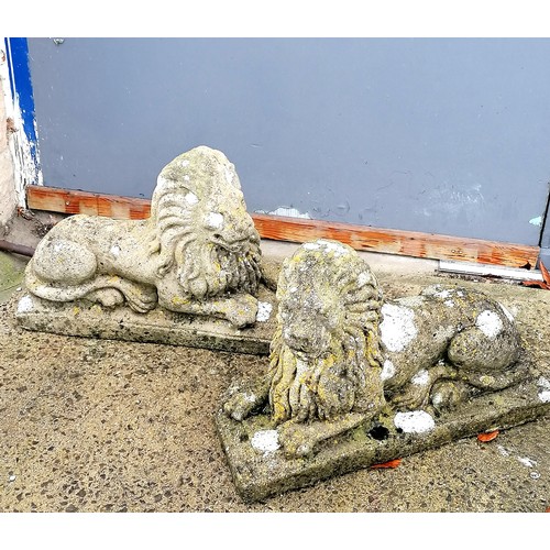 771 - Pair of concrete crouching lions with good patination - 23