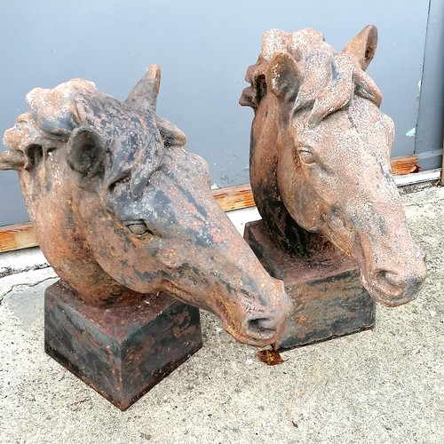 776 - Pair of cast iron horse heads on square bases. 65 cm high nose to back of head 65cm. in good conditi... 