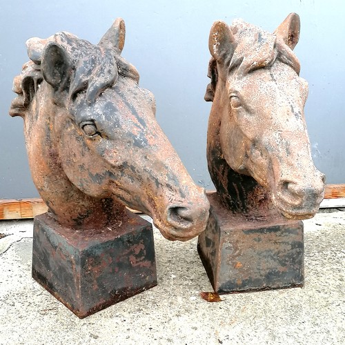 776 - Pair of cast iron horse heads on square bases. 65 cm high nose to back of head 65cm. in good conditi... 