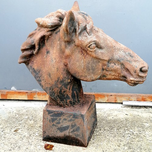 776 - Pair of cast iron horse heads on square bases. 65 cm high nose to back of head 65cm. in good conditi... 