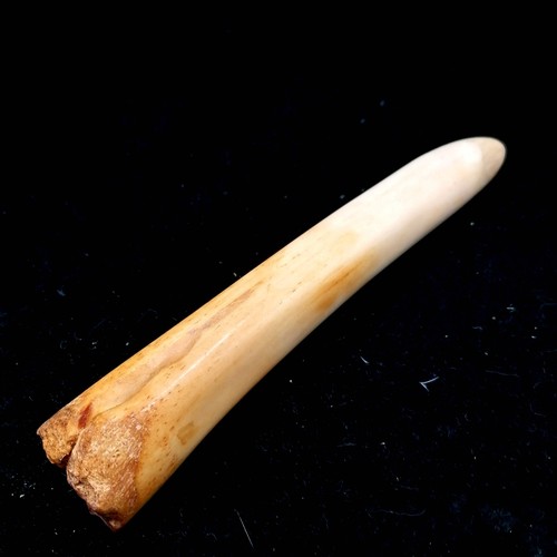 477 - Antique ivory phallus 22cm long