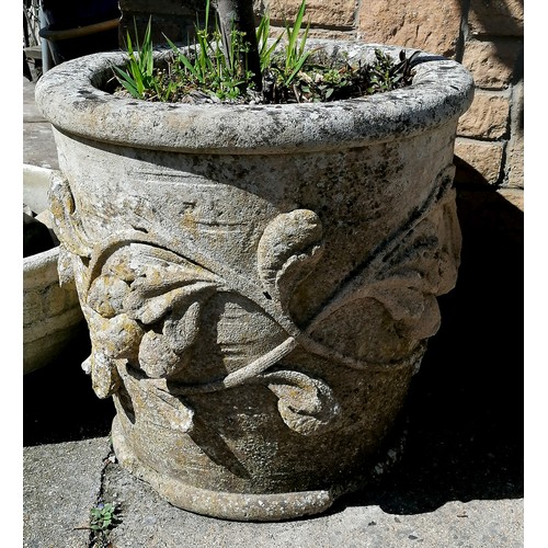 575 - Pair of concrete planters complete with standard bay trees - planter 54cm high & 53cm diameter