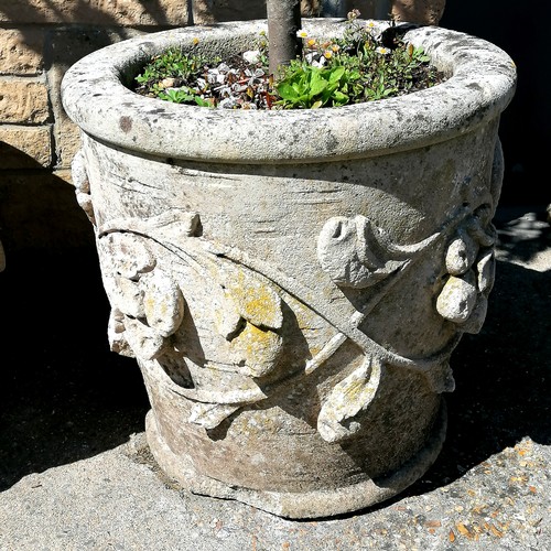 575 - Pair of concrete planters complete with standard bay trees - planter 54cm high & 53cm diameter