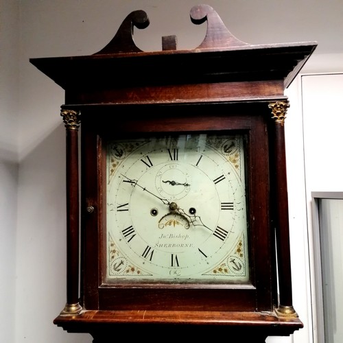 653 - Antique Sherborne oak cased grandfather clock by John Bishop. Some old worm to the base of the case.... 