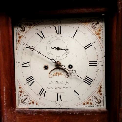 653 - Antique Sherborne oak cased grandfather clock by John Bishop. Some old worm to the base of the case.... 