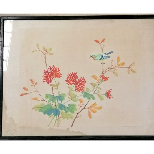 659 - 4 x oriental paintings on silk of birds & flowers - largest 47cm x 37cm. one has water stain to one ... 