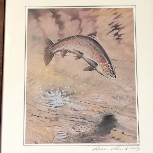 710 - 2 Lizars bird prints t/w salmon print signed Robin Armstrong