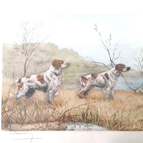 711 - Lot of 3 x framed hunting related hand coloured dog engravings (Brittany Spaniels in field, English ... 