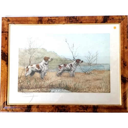 711 - Lot of 3 x framed hunting related hand coloured dog engravings (Brittany Spaniels in field, English ... 