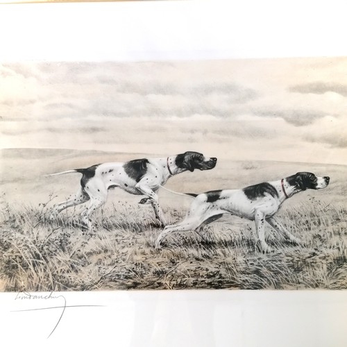 711 - Lot of 3 x framed hunting related hand coloured dog engravings (Brittany Spaniels in field, English ... 