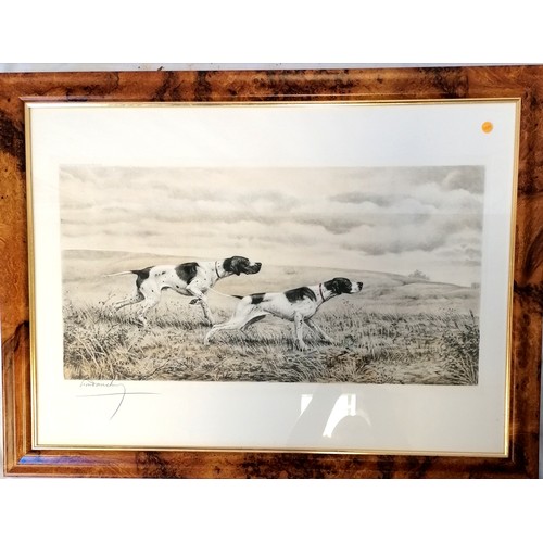 711 - Lot of 3 x framed hunting related hand coloured dog engravings (Brittany Spaniels in field, English ... 