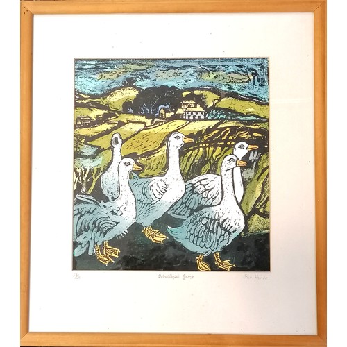 734 - Framed print 'Sebastopol Geese' #23/40 by Jean Hinde ~ 48cm x 42.5cm