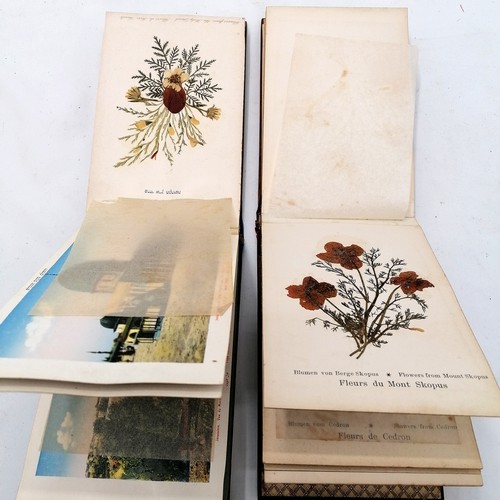 559 - 2 x Olive wood pressed flower albums from the Holy Land - some foxing & deterioration