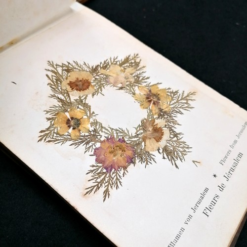 559 - 2 x Olive wood pressed flower albums from the Holy Land - some foxing & deterioration