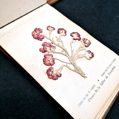 559 - 2 x Olive wood pressed flower albums from the Holy Land - some foxing & deterioration