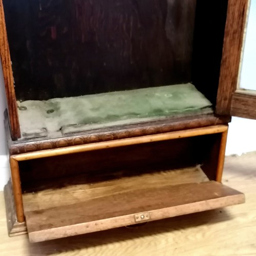 551 - Oak glazed gun cabinet with drop down flap to base & push button catch - 149cm high x 53cm wide x 20... 