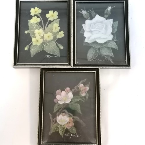 553 - 8 x paintings of flowers by Miss Jose Frances - largest 37cm x 25cm