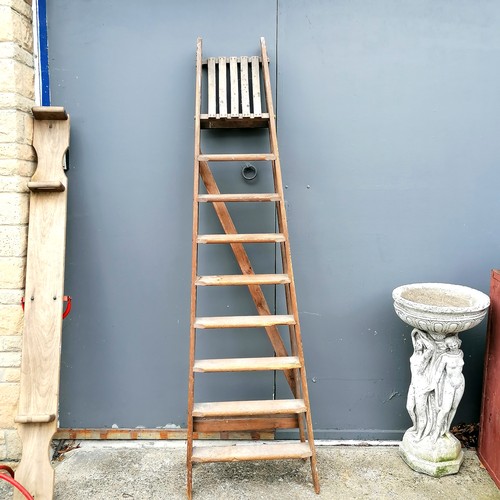 582 - Tall (218cm) wooden 9 rung step ladder, some old worm