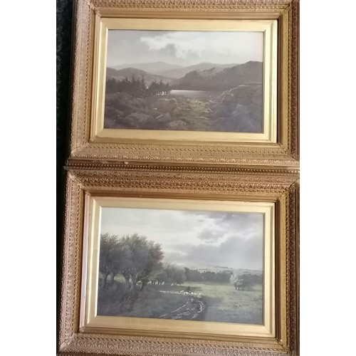 630 - 1879 pair of oil on canvas of pastoral scenes signed Henry Cheadle (1852-1910) - 78.5cm x 61cm