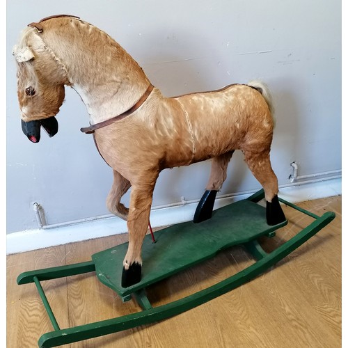 Lot 29        
