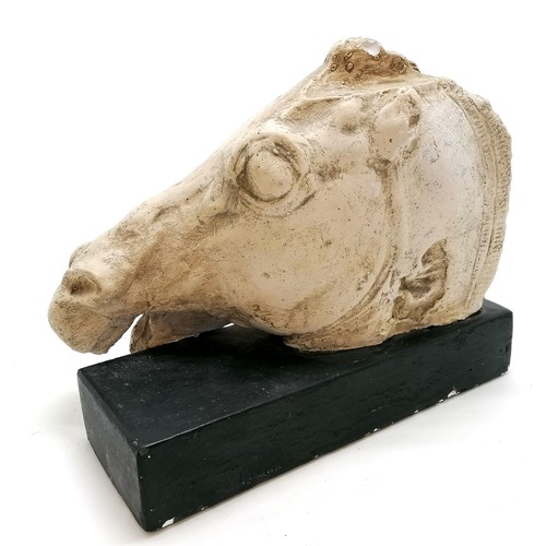 44 - Decorative plaster head of a horse on a black base - 32cm long & 26cm high ~ has 1 chip to top of he... 