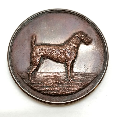 471 - Boxed medallion - London & Provincial Irish Terrier Club ~ 45mm diameter