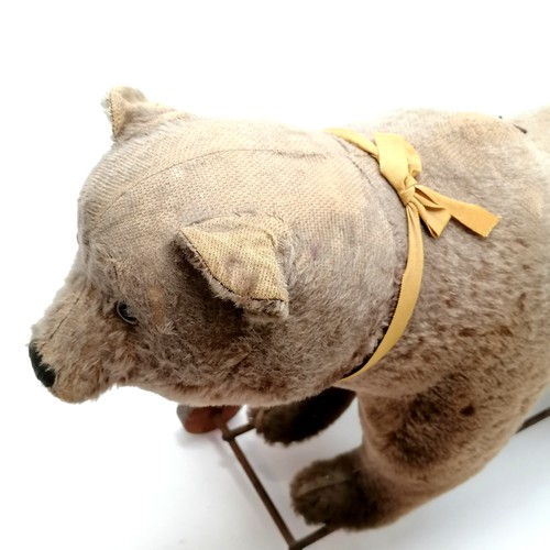 2 - Antique Steiff brown bear on metal framed wooden wheels and small black button to ear & working grow... 