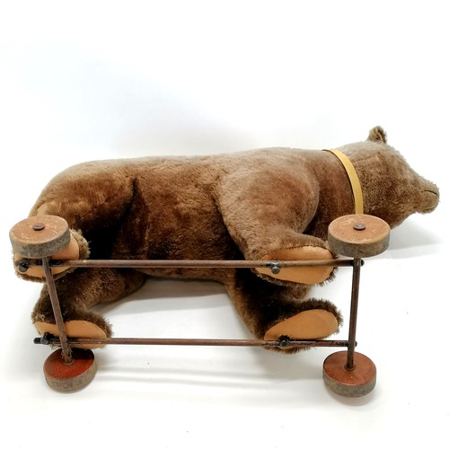 2 - Antique Steiff brown bear on metal framed wooden wheels and small black button to ear & working grow... 