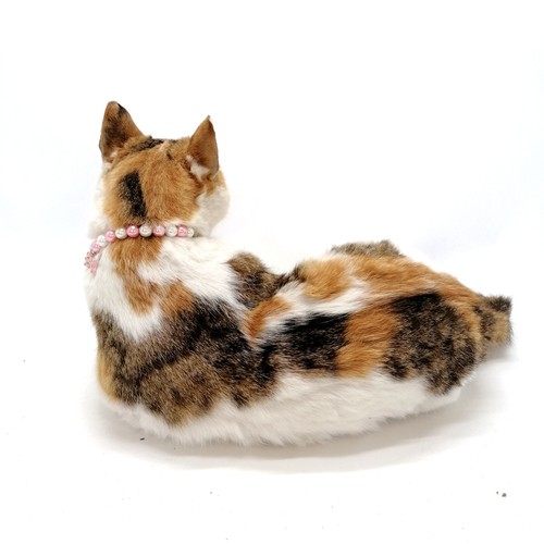 30 - Taxidermied white cat with a pink collar - 40cm long x 26cm high