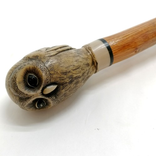 38 - Novelty owl handled walking stick - 90cm