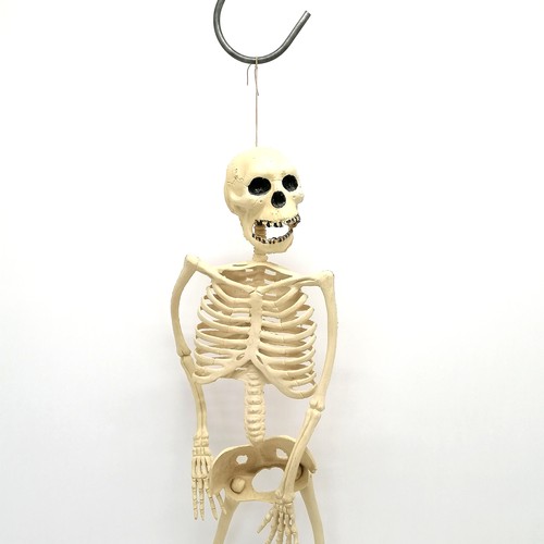 113 - Vintage plastic skeleton - 62cm