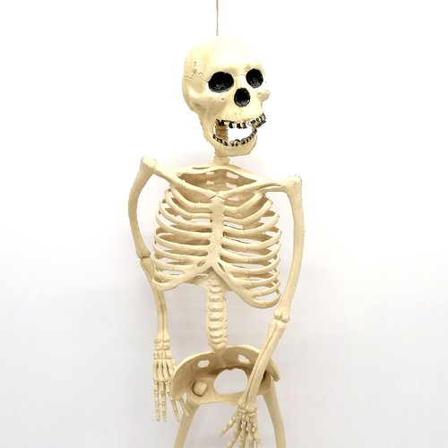 113 - Vintage plastic skeleton - 62cm