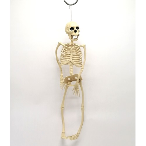 113 - Vintage plastic skeleton - 62cm