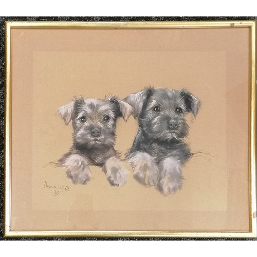 600 - Framed original pastel drawing by Ursula White signed and dated '69. 48cm x 56cm.of 2 black terriers