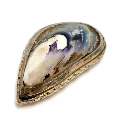 20 - Antique snuff box fashioned from a mussel shell with silver plated mounts (6cm across & has old glue... 