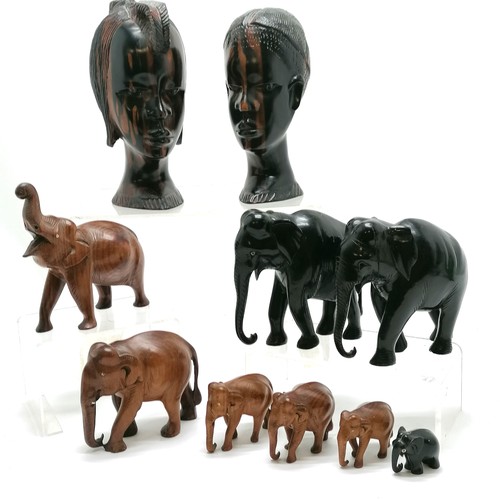 38 - Qty of hand carved elephants t/w pair of zebra wood / ebony busts of male / female (24cm high) - no ... 