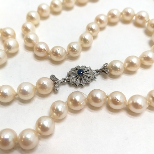 216 - 62cm strand of pearls with a 750 white gold clasp set with a blue stone - missing a claw - SOLD ON B... 