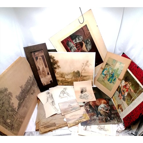 647 - Large collection / lot of life drawings, prints, tracings, pictures etc