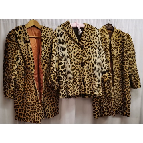 Lot 231       