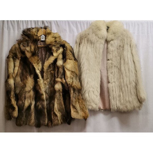 Lot 234       