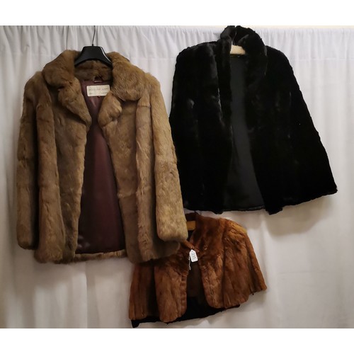 Lot 235       