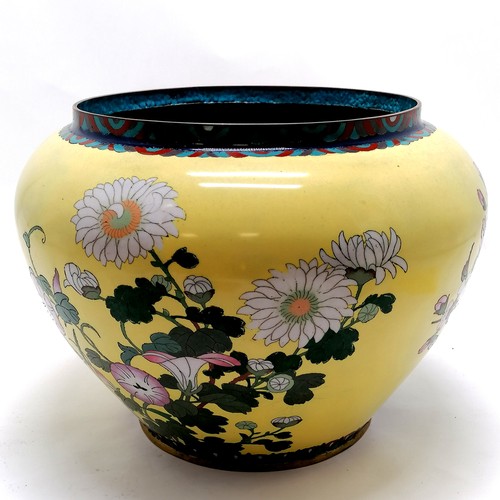 11 - Large antique Chinese cloisonne jardiniere with unusual yellow ground - 34cm diameter ~ has loss + s... 