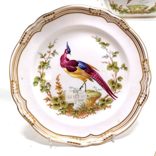 44 - Qty of Spode Chelsea Bird teaware (plate is 20cm) - no obvious damage