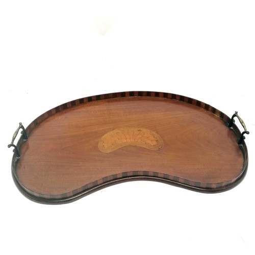 105 - Antique mahogany kidney shaped tray with inlaid shell detail to the centre and a banded gallery. 57c... 