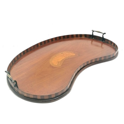 105 - Antique mahogany kidney shaped tray with inlaid shell detail to the centre and a banded gallery. 57c... 