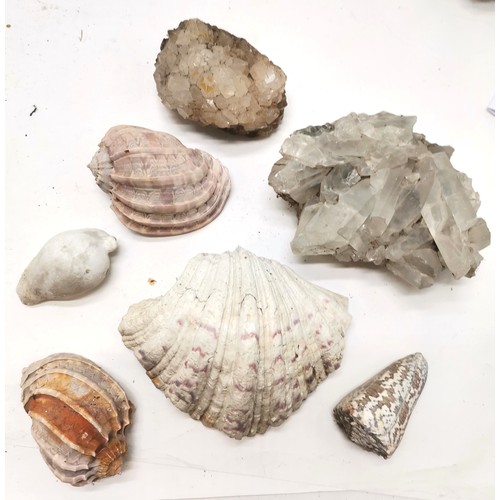 167 - Qty of fossils, rock samples, shells inc fish & shell fossil, quartz sample etc