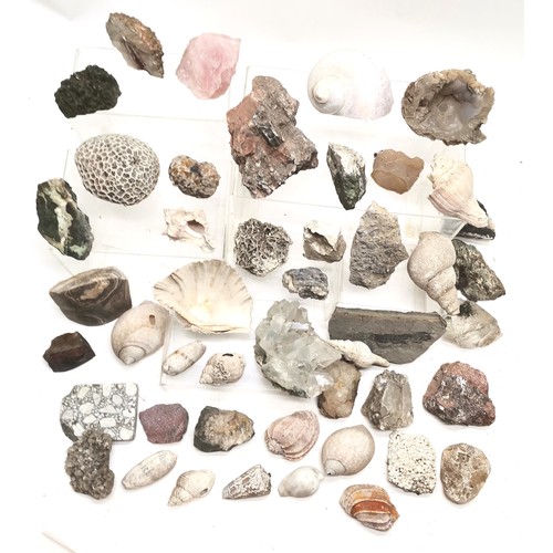 167 - Qty of fossils, rock samples, shells inc fish & shell fossil, quartz sample etc