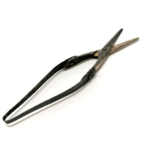 562 - Mayer's patent scissors with sprung handle / mechanism - 10.5cm